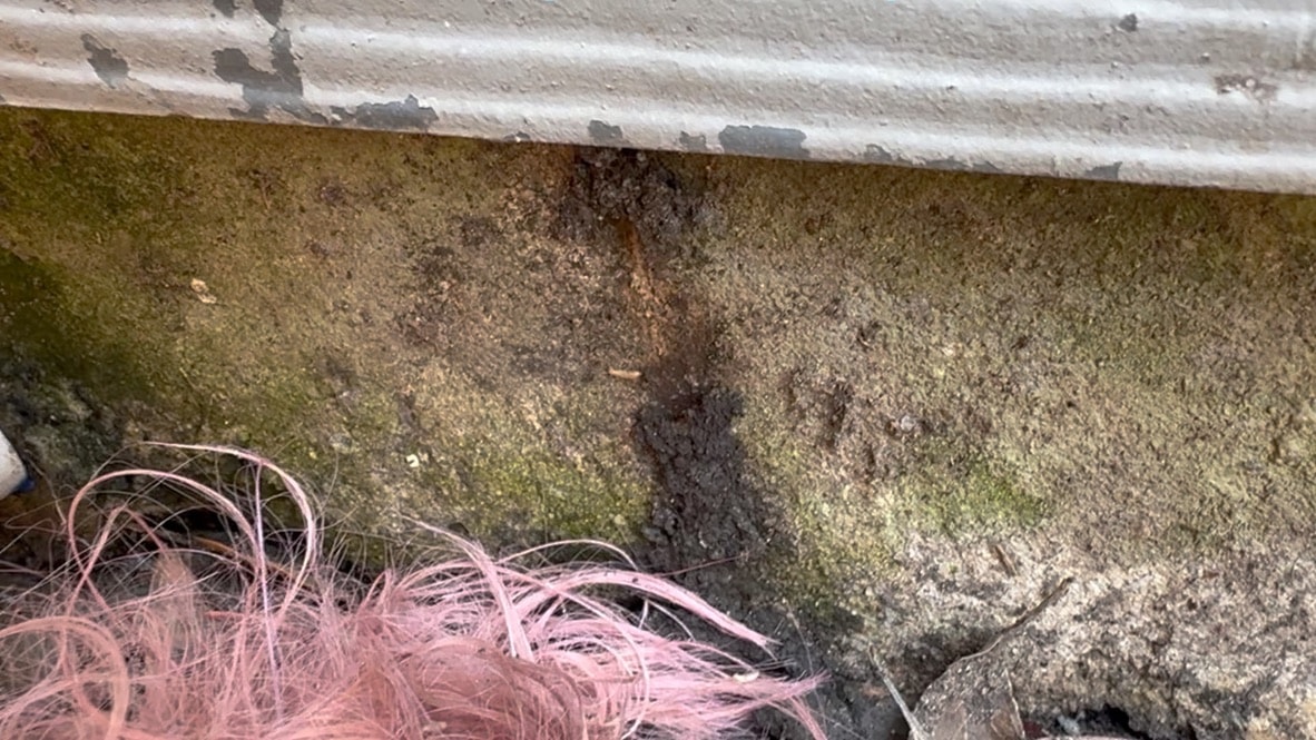 WDI (Termite) Inspection
